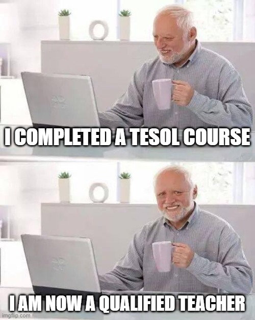I Completed a TESOL Course, I Am Now A Qualified Teacher Meme