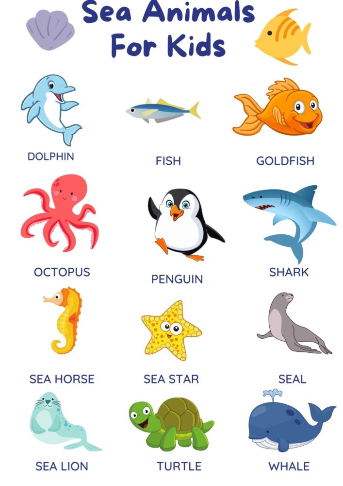 Sea Animals For Kids