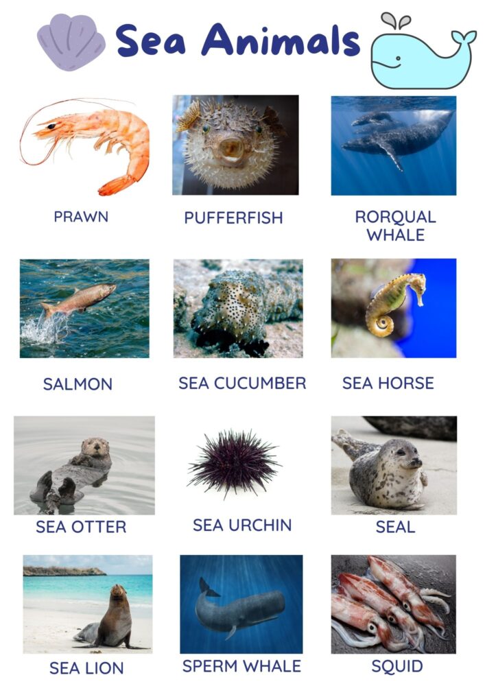 Sea Creatures List